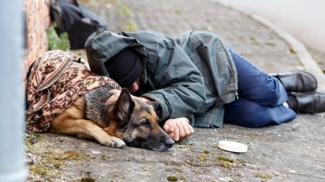 Glasgow homeless shelter to allow dogs to stay with owners