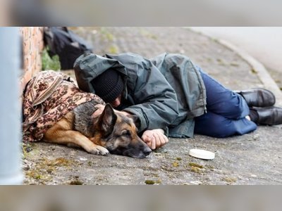 Glasgow homeless shelter to allow dogs to stay with owners