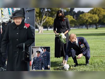 Queen took 'two seconds' to freeze out Harry from cenotaph ceremony