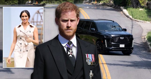 Prince Harry rushes home to be with Meghan and misses Queen's birthday