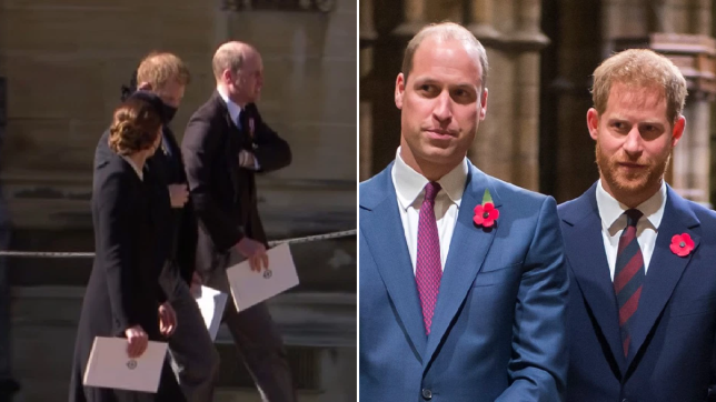 Body language expert gives her verdict on Harry and William's reunion at funeral