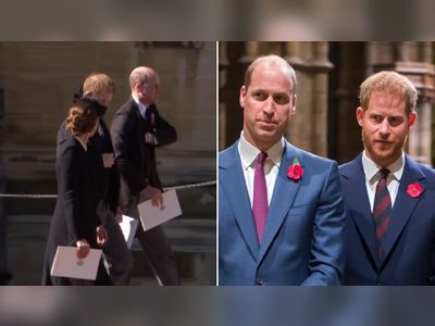 Body language expert gives her verdict on Harry and William's reunion at funeral