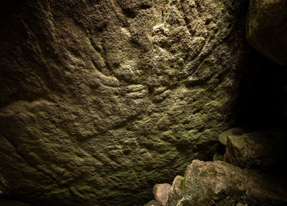 Extremely rare prehistoric animal carvings found for first time in Scotland