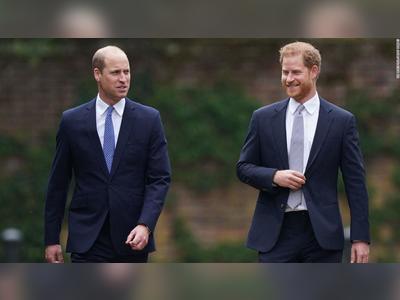 Analysis: William and Harry are working together again
