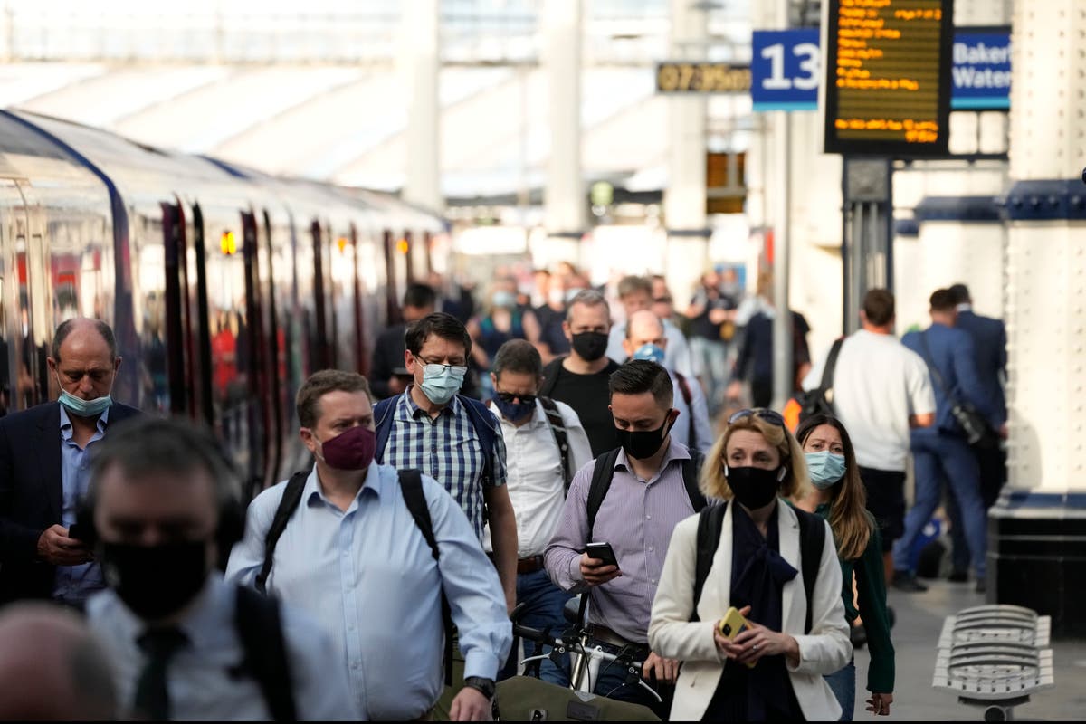 London leads the way as more cities make masks compulsory on transport
