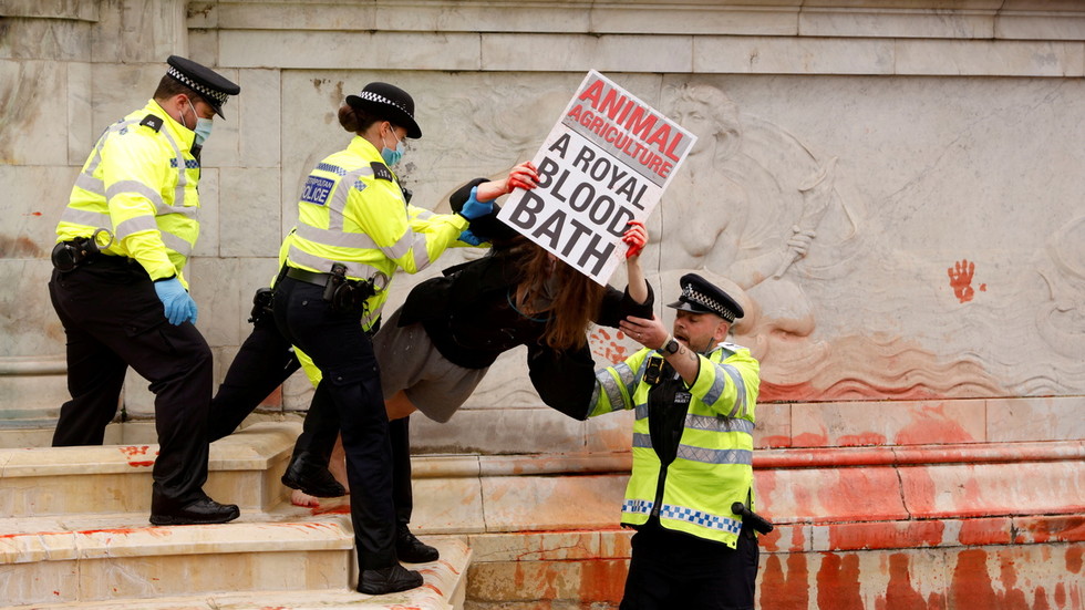 Arrests made as Animal Rebellion activists ‘vandalise’ iconic Victoria Memorial fountain outside London’s Buckingham Palace