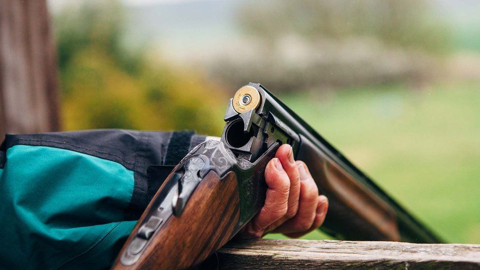 Plymouth shooting: Who can own a firearm or shotgun in the UK?
