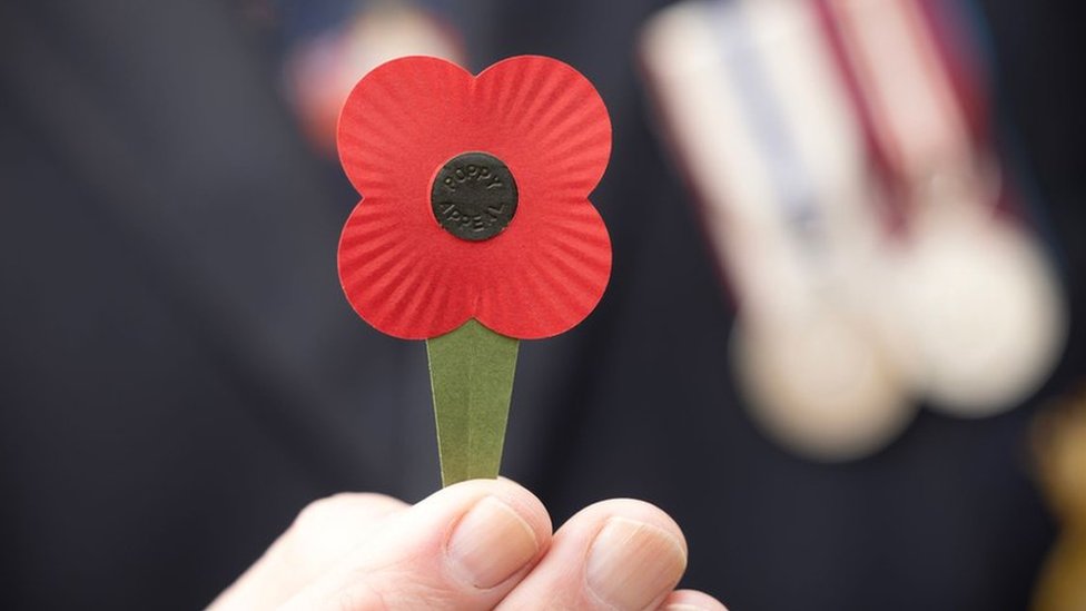 Remembrance Sunday: What's different about the Scottish poppy?