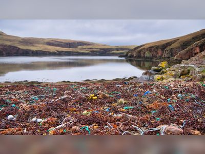 Polluters could face jail under MSP's ecocide plan